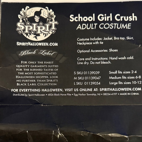 Spirit Plaid School Costume - Picture 2 of 7